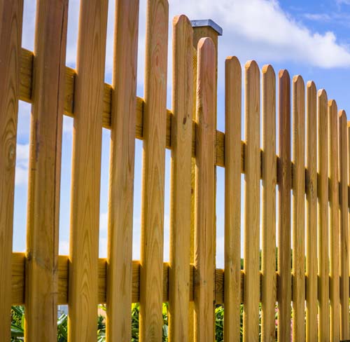 Fence Cleaning